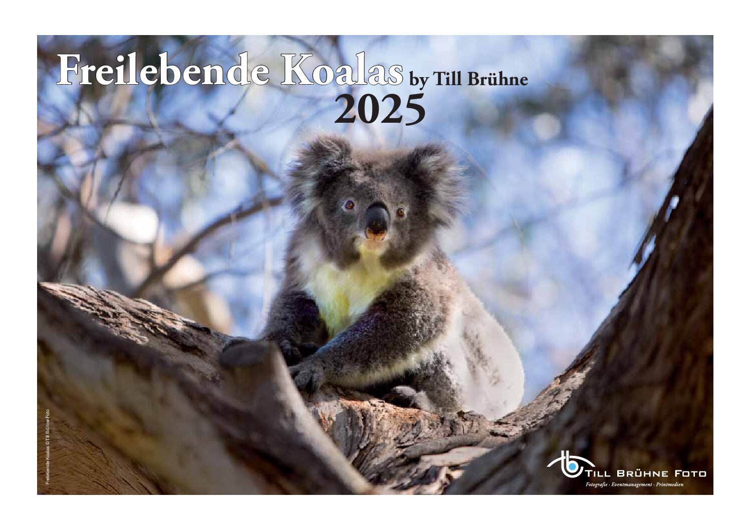 Kalender_2025_A2_Koala